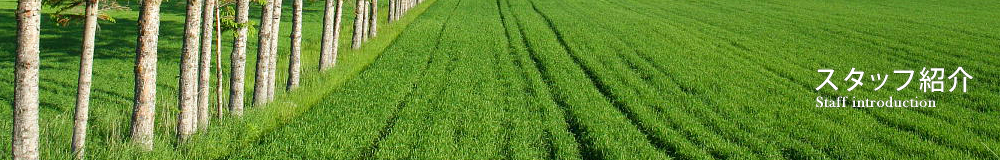 スタッフ紹介