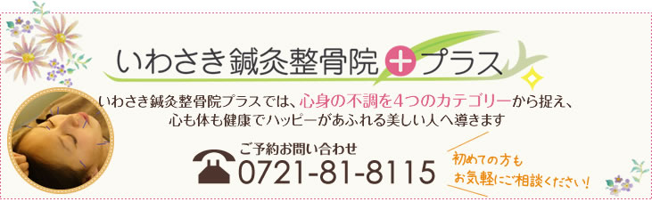 いわさき鍼灸整骨院プラス